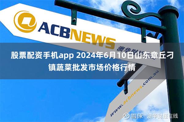 股票配资手机app 2024年6月10日山东章丘刁镇蔬菜批发市场价格行情