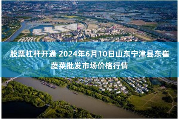 股票杠杆开通 2024年6月10日山东宁津县东崔蔬菜批发市场价格行情