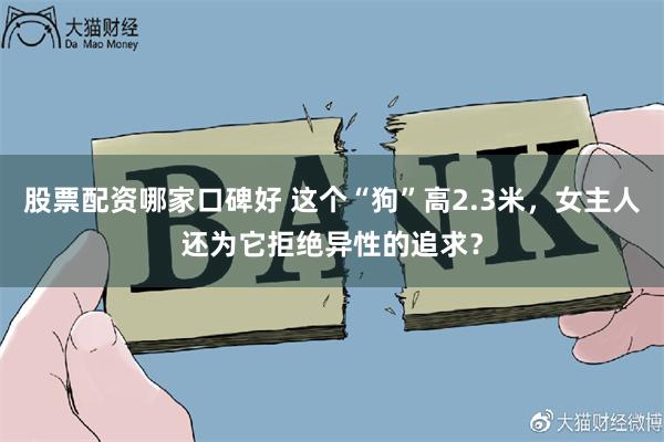 股票配资哪家口碑好 这个“狗”高2.3米，女主人还为它拒绝异性的追求？