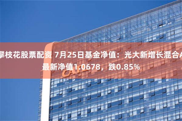 攀枝花股票配资 7月25日基金净值：光大新增长混合A最新净值1.0678，跌0.85%