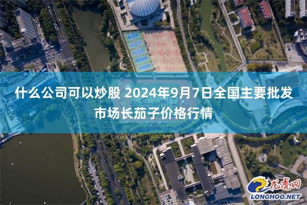 什么公司可以炒股 2024年9月7日全国主要批发市场长茄子价格行情