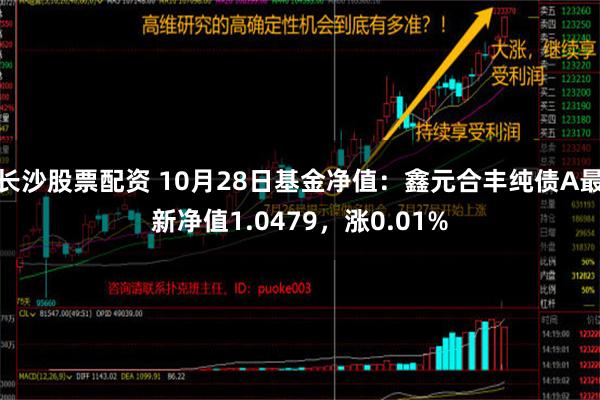 长沙股票配资 10月28日基金净值：鑫元合丰纯债A最新净值1.0479，涨0.01%