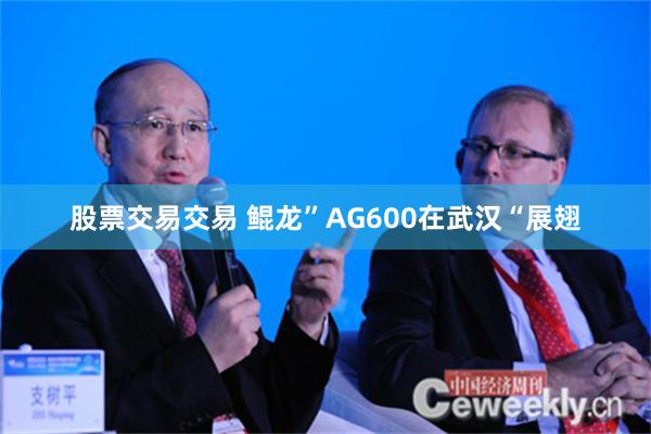 股票交易交易 鲲龙”AG600在武汉“展翅