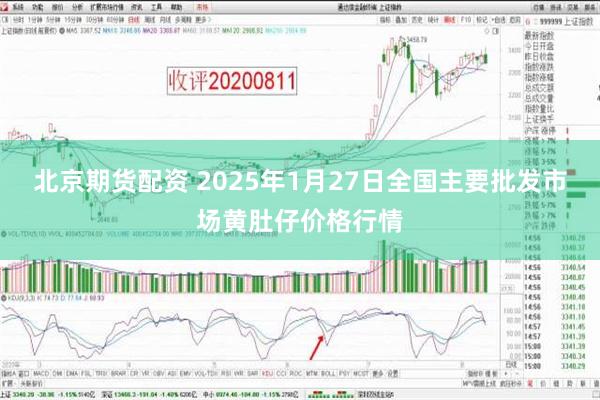 北京期货配资 2025年1月27日全国主要批发市场黄肚仔价格行情